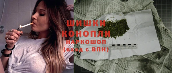 шишки Волосово