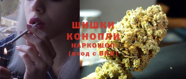 тгк Володарск