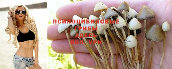 тгк Володарск