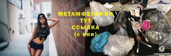 шишки Волосово