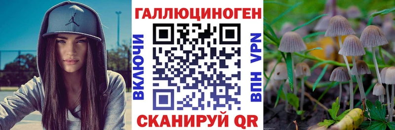 Галлюциногенные грибы Psilocybine cubensis  Елабуга 